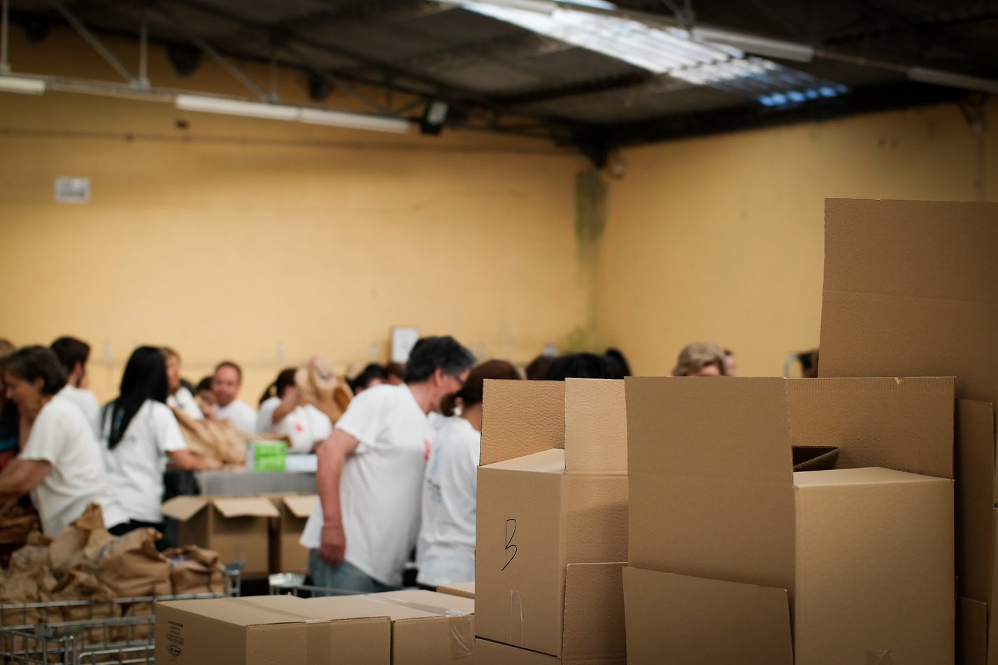 Voluntários a organizar caixas de cartão no armazém durante uma campanha de recolha de alimentos